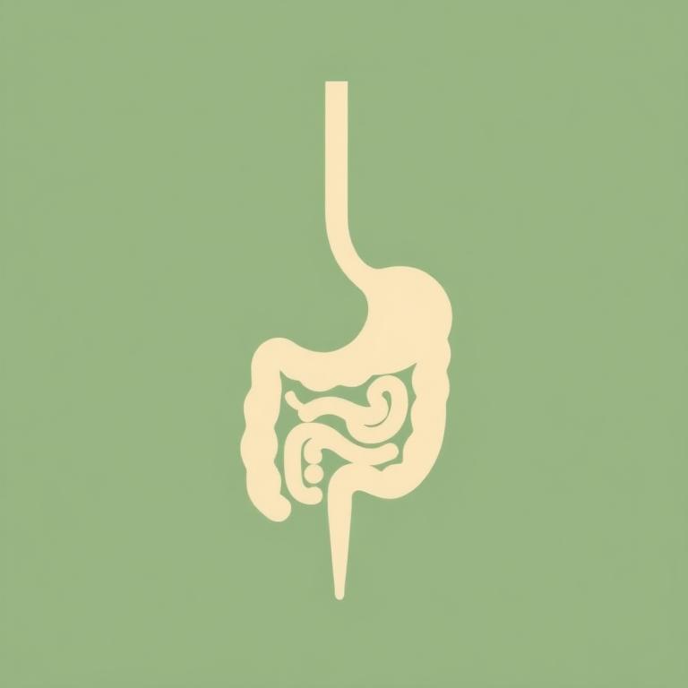 Ilustração de Gastroenterologia
